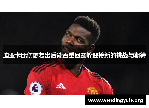 迪亚卡比伤愈复出后能否重回巅峰迎接新的挑战与期待