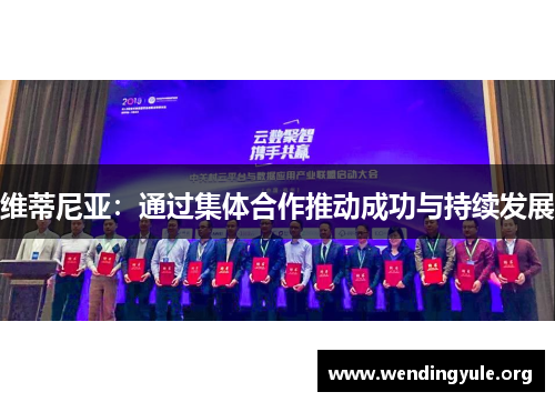 维蒂尼亚：通过集体合作推动成功与持续发展