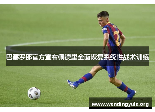 巴塞罗那官方宣布佩德里全面恢复系统性战术训练