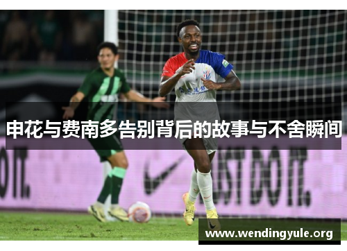 申花与费南多告别背后的故事与不舍瞬间